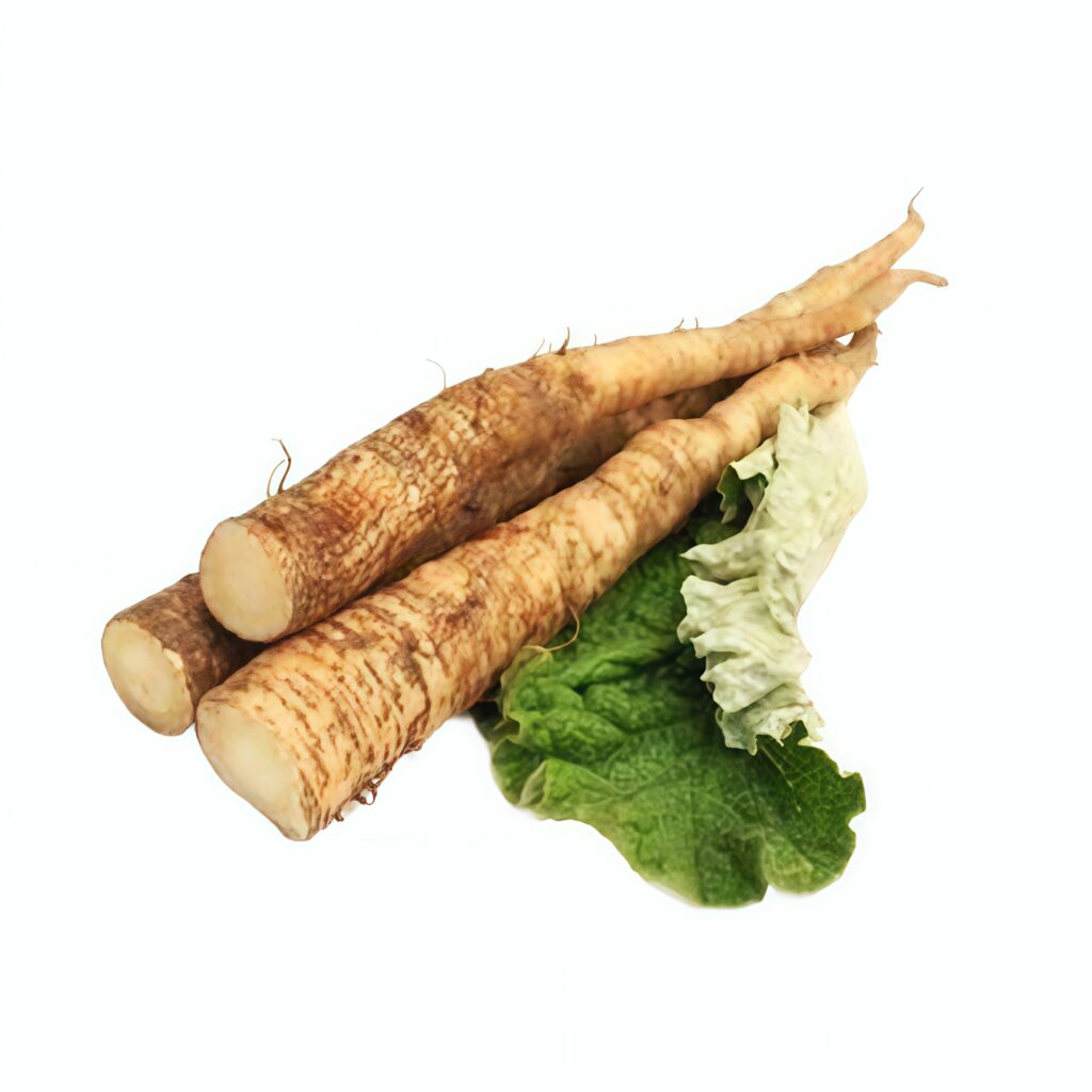 Лопух (корень)